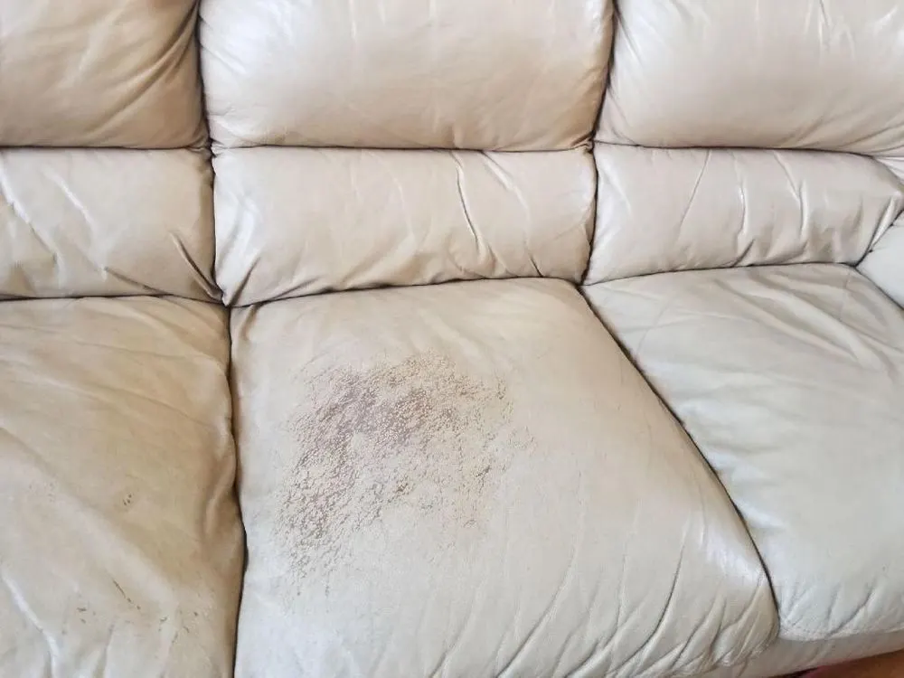Stained cream leather seat cushion before stain removal
